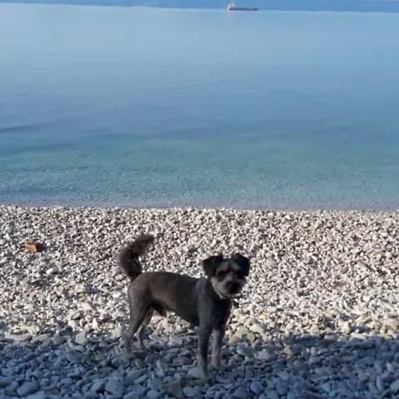 Zen - Okrug, Heated Pool, Ev Type 2 Apartamento Trogir