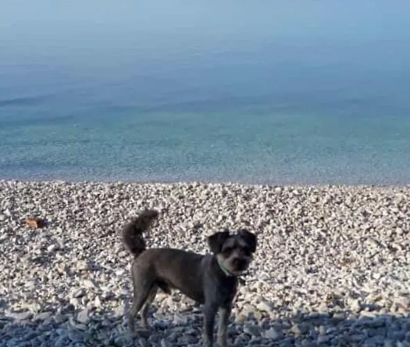 Zen - Okrug, Heated Pool, Ev Type 2 Апартаменты Трогир